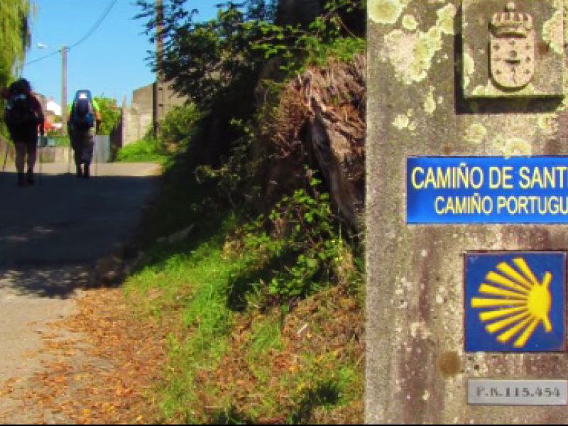 Preprosto naravno - Portugalski in Angleski Camino1